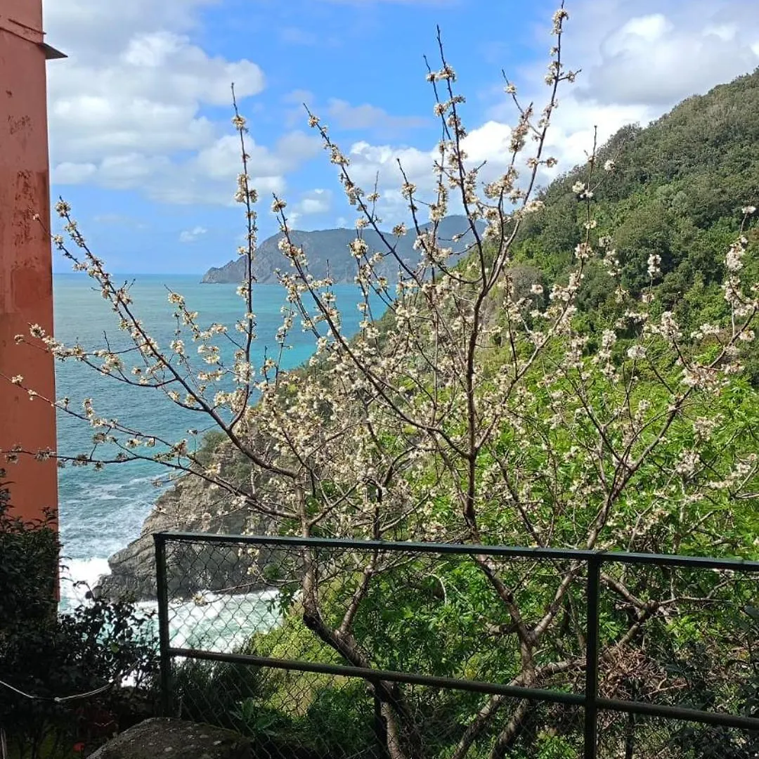 Guest house La Lanterna Hotel Corniglia Italy